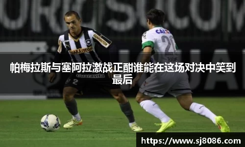 帕梅拉斯与塞阿拉激战正酣谁能在这场对决中笑到最后